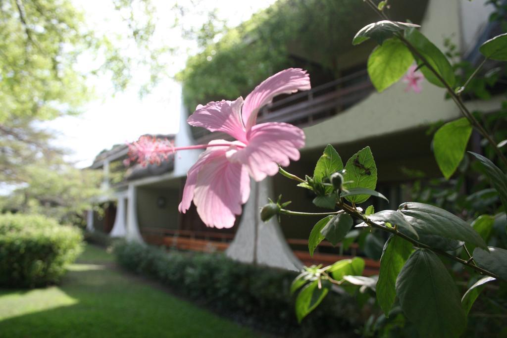 Hotel Club Du Lac Tanganyika Bujumbura Exterior photo